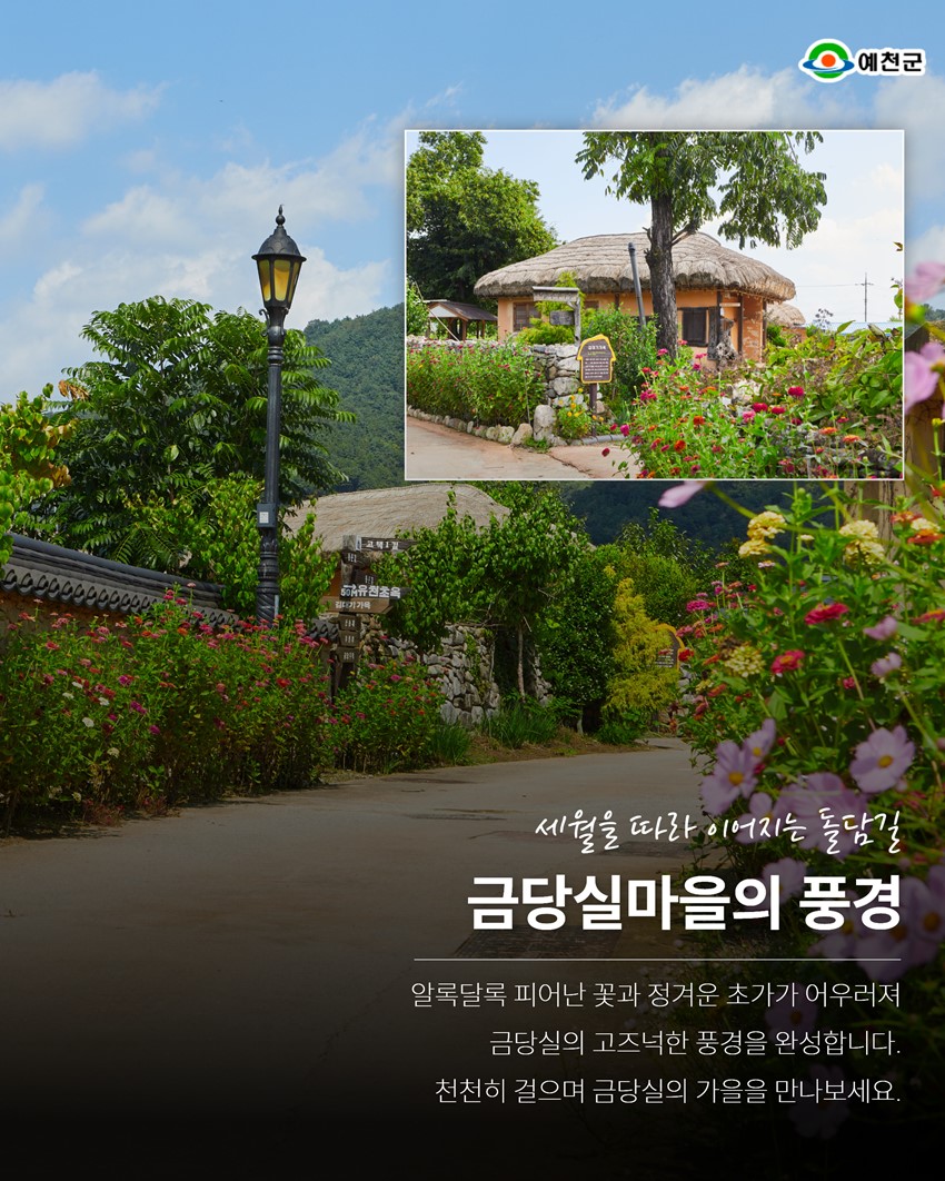 5.금당야행을 기다리며, 미리 걷는 금당실 한 바퀴!